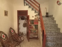 Foto1
