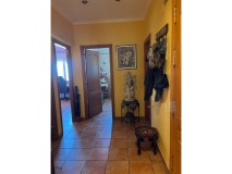 Foto41