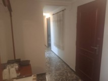 Foto19