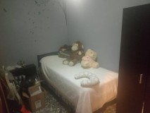 Foto11