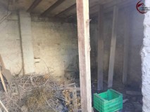 Foto12