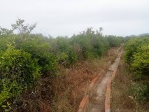Foto6