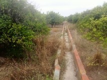 Foto7