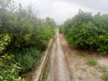 Foto8