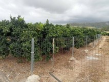 Foto12