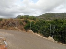Foto13