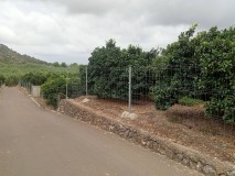 Foto15