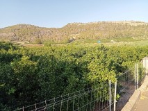 Foto2
