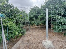 Foto9