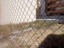 Foto7
