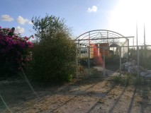 Foto1