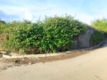 Foto11