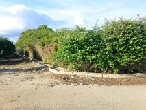 Foto12