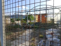 Foto4