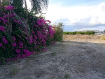 Foto5