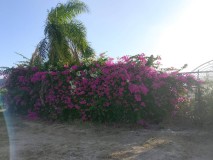 Foto8