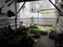 Foto3