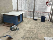 Foto4