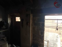 Foto8