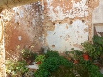 Foto19