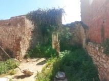 Foto16