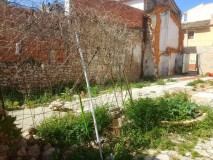 Foto17