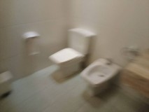 Foto9