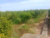 Foto11