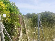 Foto4