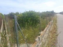 Foto5