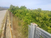 Foto10