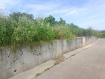 Foto4