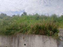 Foto5