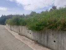 Foto6