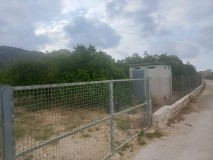 Foto12