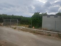 Foto5