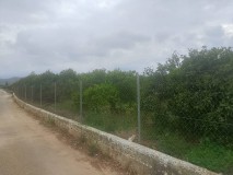 Foto11