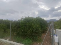 Foto10