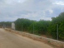 Foto8