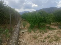 Foto6