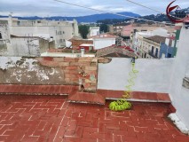 Foto11