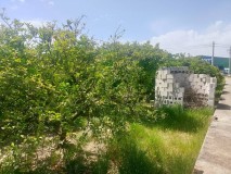 Foto4