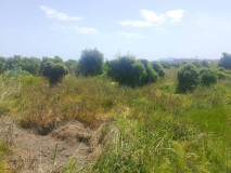 Foto11