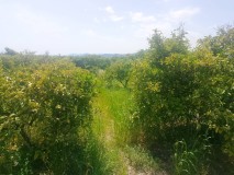 Foto13