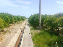 Foto10
