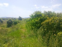 Foto12