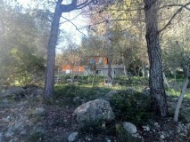 Foto11