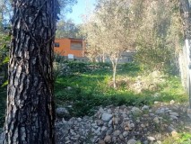 Foto12