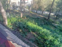Foto4