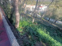 Foto5